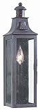 Troy Lighting Newton 17.5"H 1-Light Outdoor Wall Lantern - Old Bronze Finish with Clear Seeded Glass