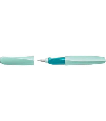 Amazon | Pelikan Pura P40 万年筆 細字 シルバー 各1本 (952028