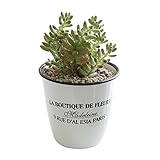 COVENT GARDEN エナメル・フルールポット L LM-11