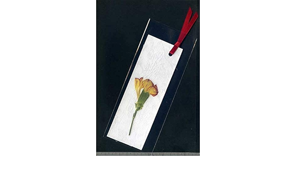 Amazon カーネーションの押し花しおり ツートン ２枚セットゆうぱっく発送お急ぎ便 しおり 文房具 オフィス用品