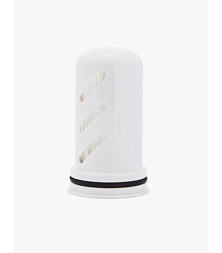 Amazon | LifeStrawホームピッチャーフィルター交換用パック、1年分
