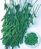 【枝豆種子】富貴　枝豆　1L　（タキイ種苗）