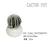 人工観葉植物 カクタス ポット サボテンSサイズ(1893 S BALL)
