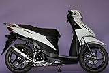 Realspeed (リアルスピード) スズキ アドレス110 (CE47A) バイクマフラー SABER セイバー ソリッドサイレンサー 異形 マフラー RSP-CHS-406