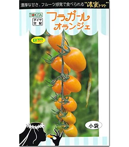 Amazon | 野菜種子 【フラガールオランジェ】ミニトマト 小袋（8粒