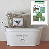 ベビーリーフ（プチリーフ）の栽培セット/標準セット（液体肥料無し）プランターホワイト仕様