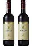 王様の涙 赤 750ml 2本セット[スペイン/赤ワイン/辛口/2本]