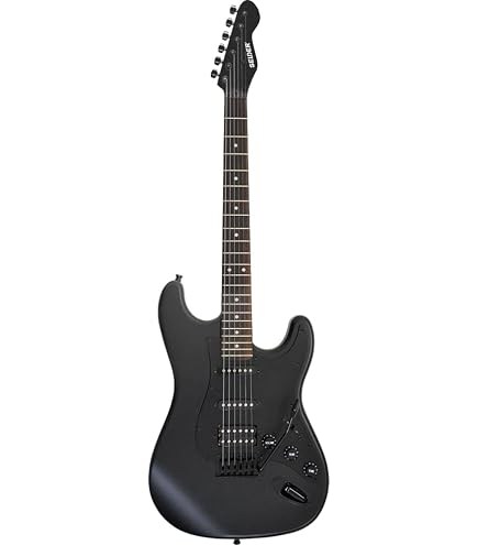Amazon | SELDER セルダー エレキギター STタイプ ST-33RM/DB ダック