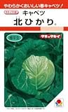 タキイ種苗　キャベツ　北ひかり　1ｍｌ