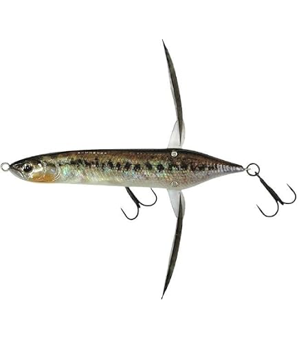 Amazon.co.jp: Imakatsu ダイバゼル ブラック×ゴールド 流水紋 限定