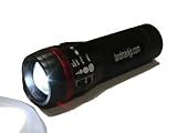 ランドマークジャパン 赤白LED合図灯 LM303