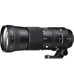 SIGMA 150-600mm F5-6.3 DG 望遠レンズ Nikon DG（シグマ） シグマ SIGMA 150-600mm F5-6.3 DG OS HSM