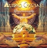 �g�����X�I�[�V���j�b�N