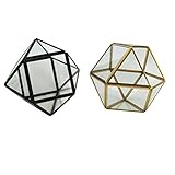 Baoblaze 2個　　現代　卓上　ガラス　テラリウム　プランター　ボックス　DIY　デコレーション　花瓶