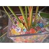 ジェリーボール マジッククリスタルボール ぷよぷよ 【色：オレンジ】ハイドロカルチャー（観葉植物）/DIY ガーデニング/水耕栽培/培養土類