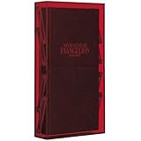 NEON GENESIS EVANGELION DVD-BOX (仮)