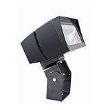RAB Lighting FFLED39T/PCS Future Flood 39W Cool LED Trunnion, 120V, Bronze [並行輸入品]
