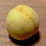 桃(モモ)苗木　黄金桃（おうごんとう）