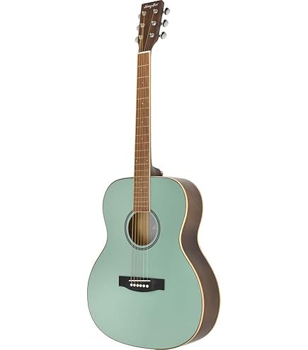 Amazon.co.jp: HONEY BEE F-15/BLS Acoustic Guitar, Folk Guitar Type