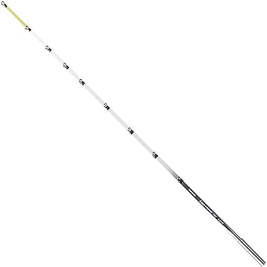 ワカサギ　ステンレス穂先　280ミリ　２本ペア Amazon.co.jp 最新リリース: ワカサギロッド・穂先 の新着