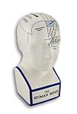 Phrenology Head with ColoredマップCeramic Coin Bank