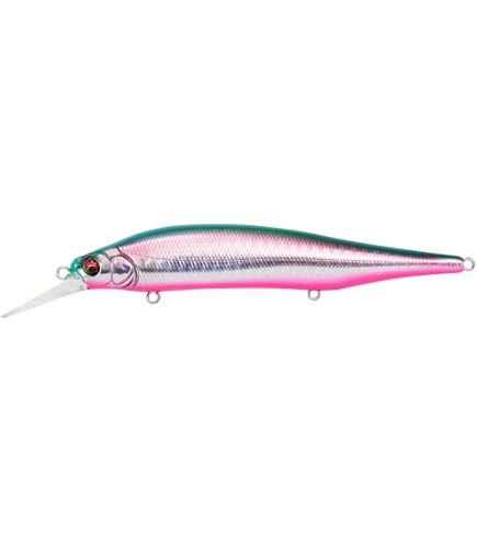 Amazon.co.jp: メガバス(Megabass) X-80 MAGNUM+1 GG アカキンイワシCH