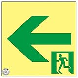 高輝度蓄光通路誘導標識 ← SSN962【代引不可】 生活用品 インテリア 雑貨 文具 オフィス用品 その他の文具 オフィス用品 [並行輸入品]