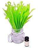 【RedFrogs】ペーパー加湿器＋メイソンジャーマグセット ミストガーデン グリーン エコ 卓上 紙 加湿器 電気を使わないエコ加湿 (ジャー＋加湿器＋アロマ3点セット)
