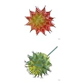 SunniMix 2個　人工多肉植物　カクタス　ホーム　ガーデン　花　装飾品　家庭装飾