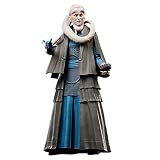スター・ウォーズ ブラックシリーズ ビブフォーチュナ ジェダイの帰還40周年記念 6インチ コレクター用アクションフィギュア 対象年齢4歳以上