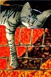 Peekingトム猫装飾セラミック壁アートタイル6 x 6