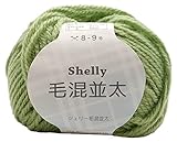 元廣(Motohiro) スキー 手編み毛糸 シェリー毛混並太(5玉セット) Col.510