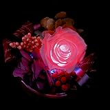 Reve プリザーブドフラワーアレンジ　LEDでバラが光る Led ROSA