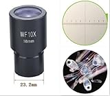 WF10X/18ｍｍ生物顕微鏡用スケール付接眼レンズ23.2mm