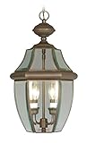 Livex Lighting 2255-07 Monterey 2 Light Outdoor Bronze Finish Solid Brass Hanging Lantern with Clear