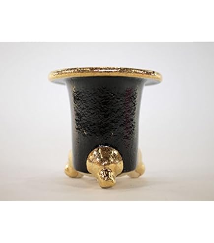 Amazon | 信楽焼 楽風柚子足付オモト鉢 5号 4個入り | 鉢