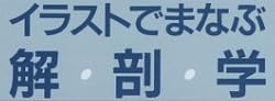 本「イラストでまなぶ解剖学(1999年)」で使われている【ゴナ】