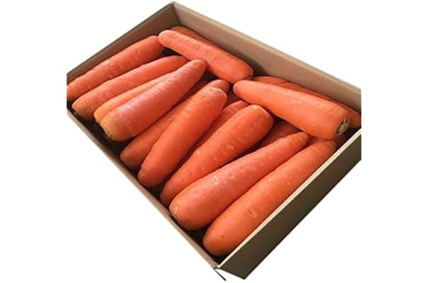 Amazon Co Jp 人気ギフトランキング にんじん で ギフトの設定を使用して最もご注文いただいている商品 Amazon Co Jp 人気ギフトランキング にんじん で ギフトの設定を使用して最もご注文いただいている商品