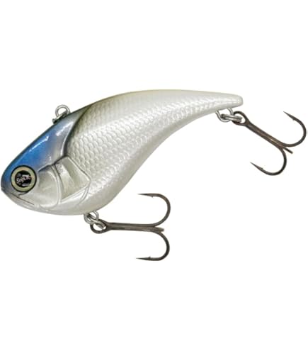 REVONIK レヴォニック5点セット MOGOT ZENDA VOLBEAT REVONIK レヴォニック5点セット MOGOT ZENDA VOLBEAT REVONIK