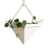 壁の植木鉢白い磁器の金鍛鉄の花のスタンド緑の植物肉の水の文化鉢植えのインテリア装飾パック6 (Shape : Triangles)