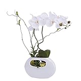 Flower Arrangement with装飾花瓶人工オーキッドPlant