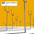 Origin of Symmetry [12 inch Analog]
