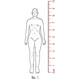 Amazon 人体図ゴム印 医療用 カルテ 全身 背面02 スタンプ 文房具 オフィス用品