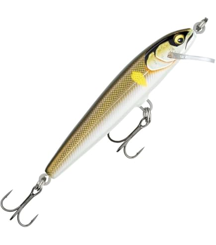 Amazon.co.jp: ラパラ ジャイアントルアー 75cm ジャイアンミノー RGL