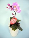 胡蝶蘭 ピンク色胡蝶蘭 1本立ち （こちょうらん） 胡蝶蘭 生花 造花 ギフト 光触媒 髪飾り 産地直送