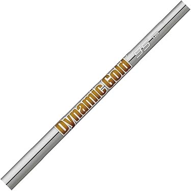 True Temper - 【最終値下げ】ダイナミックゴールド 95 S200 TRUE TEMPER ダイナミックゴールド 95/105/120 スチールシャフト