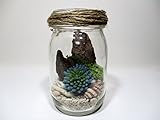 【 翔美苑 】テラリウムキット(多肉植物(造花)付き:ブルー) 手軽でおしゃれ