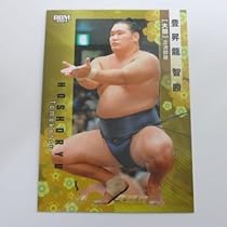Amazon.co.jp: BBM2024 大相撲カード□レギュラーカード□04/豊昇龍