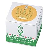 Euvo Design Potted Plant タイム PP10194