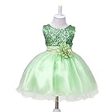 HUANQIUE DRESS ベビー・ガールズ カラー: グリーン